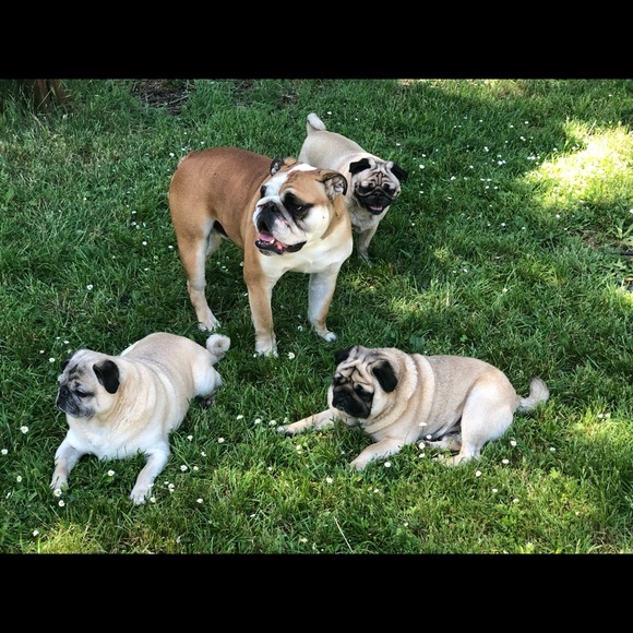 Meet your Posher, Kim - Picture 1 of 1